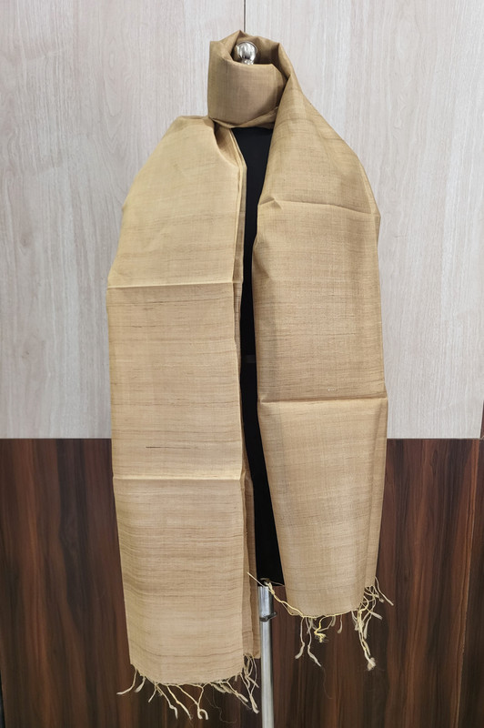 Desi Tussar Causal Beige Dupatta