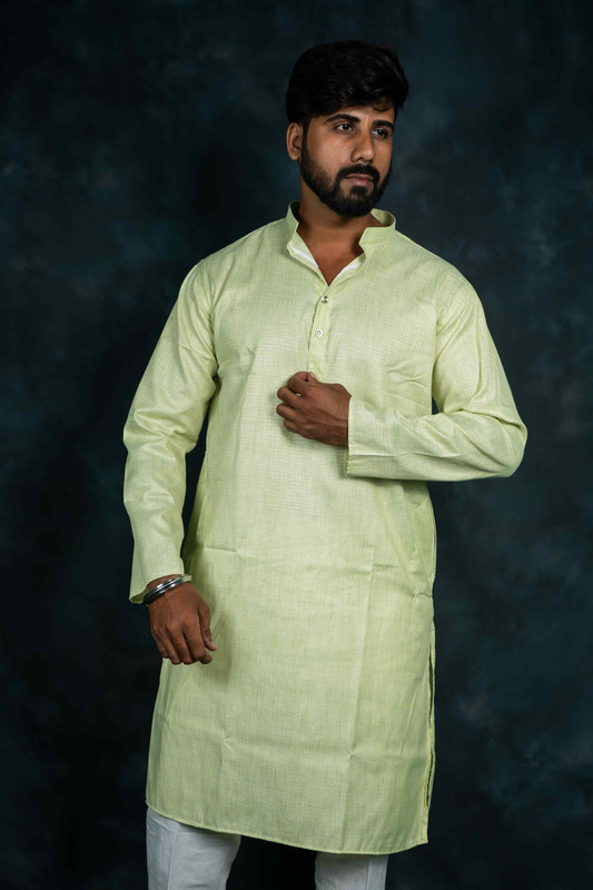 Ethnic Pure Cotton Kurta Plain(Light Green)